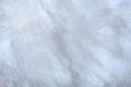 Beautiful white background of a lot of soft fluffy bird feathers Royalty Free Stock Photo