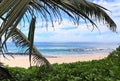 Beautiful white beaches on the paradise islands Seychelles fotographed on a sunny day