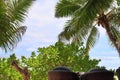 Beautiful white beaches on the paradise islands Seychelles fotographed on a sunny day