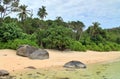 Beautiful white beaches on the paradise islands Seychelles fotographed on a sunny day