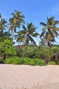 Beautiful white beaches on the paradise islands Seychelles fotographed on a sunny day