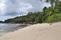 Beautiful white beaches on the paradise islands Seychelles fotographed on a sunny day