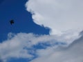 A beautiful white cloud and a flying black bird against the blue sky in winter in Israel.