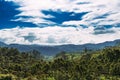 Beautiful white clouds over a green forest Royalty Free Stock Photo