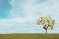 Beautiful white Cloudy and blue sky over tree isolated on green field background. Royalty Free Stock Photo