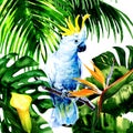 Beautiful white Cockatoo, colorful big parrot in jungle rainforest, exotic flowers and leaves, watercolor illustration Royalty Free Stock Photo