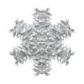 Beautiful white and 3D render winter snowflake