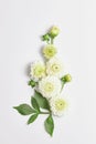 beautiful white Dahlia flowers on a light background. floral arrangement.