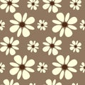 Beautiful white daisy flowers on brown background seamless pattern background Royalty Free Stock Photo