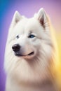 Beautiful white dog portrait. White husky with blue eyes on coloured background. AI generative illustration.