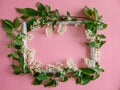 Beautiful white flowers bird cherry tree branches and grey vintage photo frame on a pink paper background. Top view Royalty Free Stock Photo