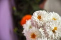 Beautiful White flowers with blur background