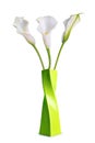 Beautiful white flowers Calla in green vase. Royalty Free Stock Photo