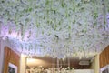 Beautiful white flowers on the ceiling decorated in the wedding Valentines Day