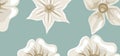Beautiful white flowers design background Royalty Free Stock Photo