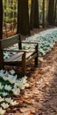 Beautiful White Flowers On Wooden Bench: A Stunning Display Of Nature\'s Elegance Royalty Free Stock Photo