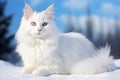 Beautiful white fluffy turkish angora cat at snow. Generative AI