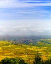 Beautiful white foggy layer over vineyards of Alsace, France Royalty Free Stock Photo