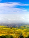 Beautiful white foggy layer over vineyards of Alsace, France Royalty Free Stock Photo