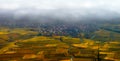 Beautiful white foggy layer over vineyards of Alsace, France Royalty Free Stock Photo