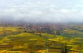 Beautiful white foggy layer over vineyards of Alsace, France Royalty Free Stock Photo