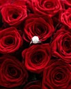 Beautiful white gold pearl ring and bouquet of red roses, luxury jewelry love gift on Valentines Day and romantic holidays Royalty Free Stock Photo