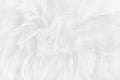 Beautiful white grey bird feathers pattern texture background Royalty Free Stock Photo