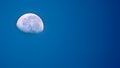 Beautiful white half moon in a uniform blue background shining with white glow Royalty Free Stock Photo