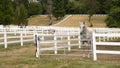 Beautiful White Horse Equestrian Stable Outdoor Paddock