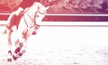 Horse and rider, black and white banner or header, billboard, duotone.