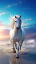 Beautiful white horse running in the beach during sunset Royalty Free Stock Photo