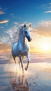 Beautiful white horse running in the beach during sunset Royalty Free Stock Photo