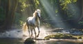 White stallion galloping along riverbed in sun drenched woodland