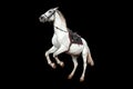 Beautiful white horse with a saddle rears up on a black background isolate. Jockey, hippodrome, horseback riding Royalty Free Stock Photo