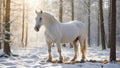 Beautiful white horse in a snowy park outdoors