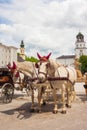 Beautiful white horses and carriages waiting for a ride on Residenzplatz in the old town of Salzburg, Austria Royalty Free Stock Photo