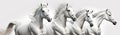 Beautiful white horses run across the sand, white background. Generative AI Royalty Free Stock Photo