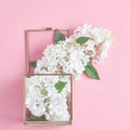 Beautiful white hydrangea flowers in a glass cube on a pink background. Royalty Free Stock Photo