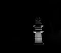 Chess Piece Object Black and White Background Photograph Royalty Free Stock Photo