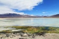 Beautiful white lake in Bolivia desert Royalty Free Stock Photo