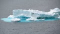 Iceberg shining in white, turquoise color in dark blue riffled Southern Antarctic Ocean, Antarctica. Cormorant flying