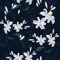 Beautiful white lilies flowers. Seamless pattern on black background. Royalty Free Stock Photo