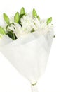 Beautiful white lilies on light background, closeup Royalty Free Stock Photo