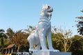 A Beautiful White Lion Statue Royalty Free Stock Photo
