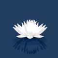 Beautiful white lotus flower logo vector image