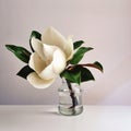 White blooming magnolia flower Royalty Free Stock Photo