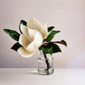 Beautiful white magnolia flower in full bloom in vase, close up, white background. Floral still life Royalty Free Stock Photo