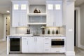 White modern mother-in-low kitchen in family room Royalty Free Stock Photo