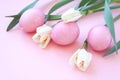 Easter eggs and spring flowers narcissi on pink background