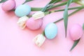 Easter eggs and spring flowers narcissi on pink background